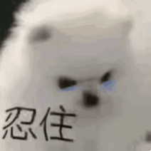 動態gif爆笑的表情最新版 超好玩的動態表情最新合集