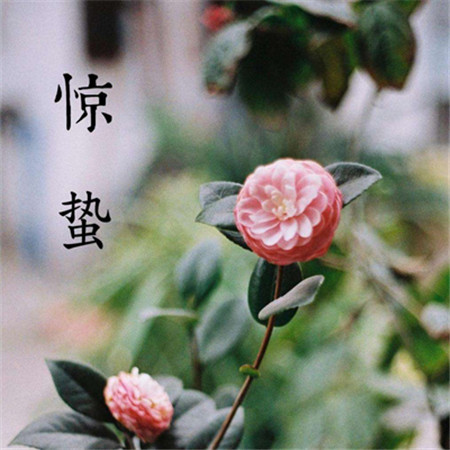 2022驚蟄節(jié)氣高清唯美微信圖片合集 驚蟄春雷響視界萬物生