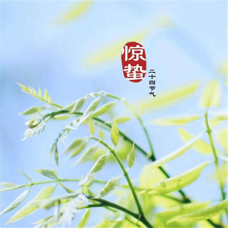 2022驚蟄節(jié)氣高清唯美微信圖片合集 驚蟄春雷響視界萬物生