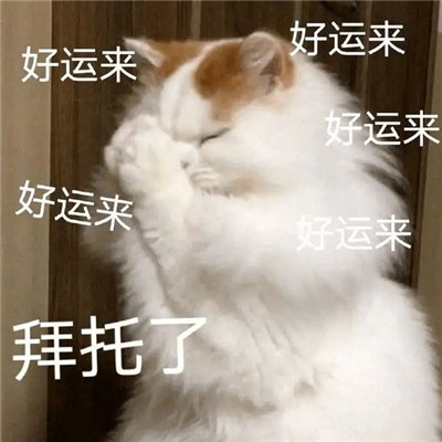 好運(yùn)連連的祝福表情可愛 給你帶來好運(yùn)的微信聊天表情