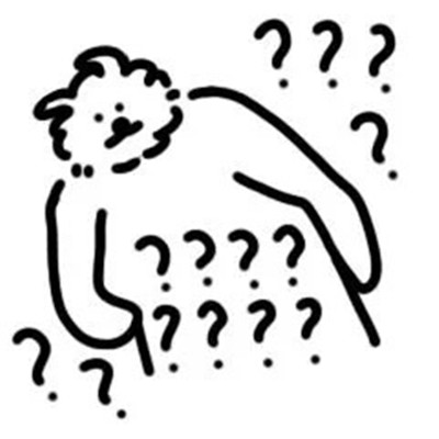 線條貓很可愛的又很實用表情 2022可可愛愛線條貓表情合集