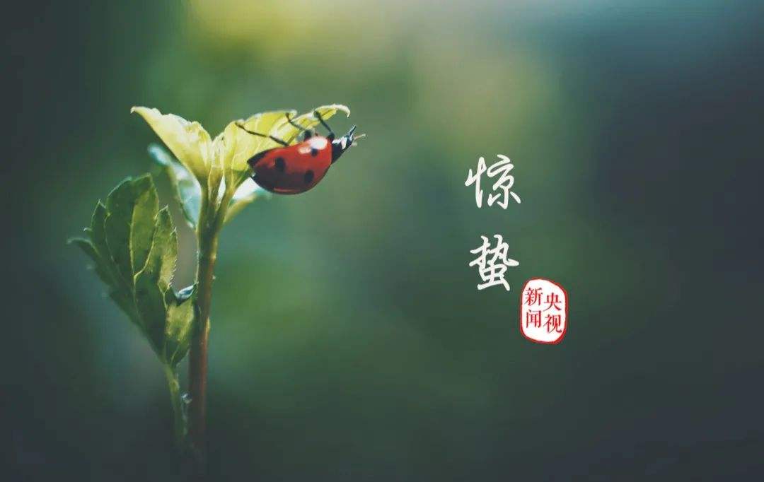 2022驚蟄節氣是哪天？2022驚蟄是幾月幾日幾點