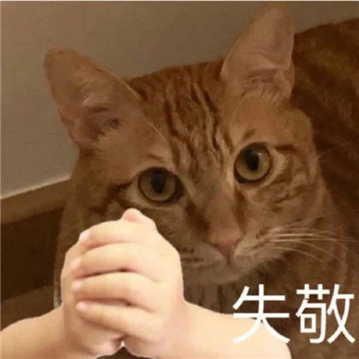 最新版笑死人的qq趣味表情 又到了乖寶寶睡覺的時(shí)間了