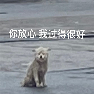 熱門表情2022全新很搞笑 魚哭了水知道我哭了誰知道