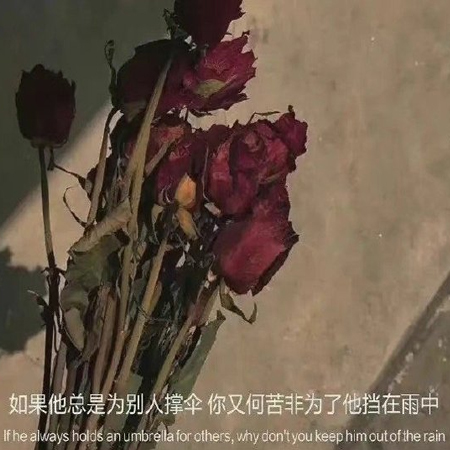 2022背景圖片大全唯美帶字傷感 所有的光芒都需要時間能看到