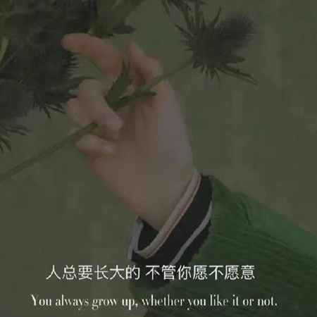 2022背景圖片大全唯美帶字傷感 所有的光芒都需要時間能看到