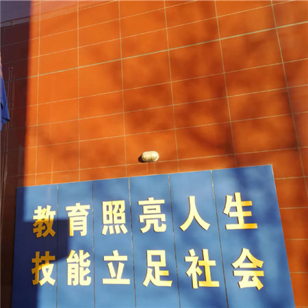 2022很個性的帶字背景圖超火 大家壓力都很大
