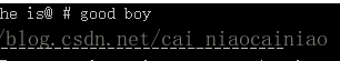 C++中replace() 函數的基本用法