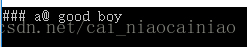 C++中replace() 函數的基本用法