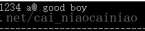 C++中replace() 函數的基本用法