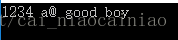 C++中replace() 函數的基本用法