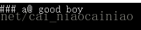 C++中replace() 函數的基本用法