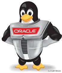 Oracle Linux 能否成為企業級 CentOS 的替代品？