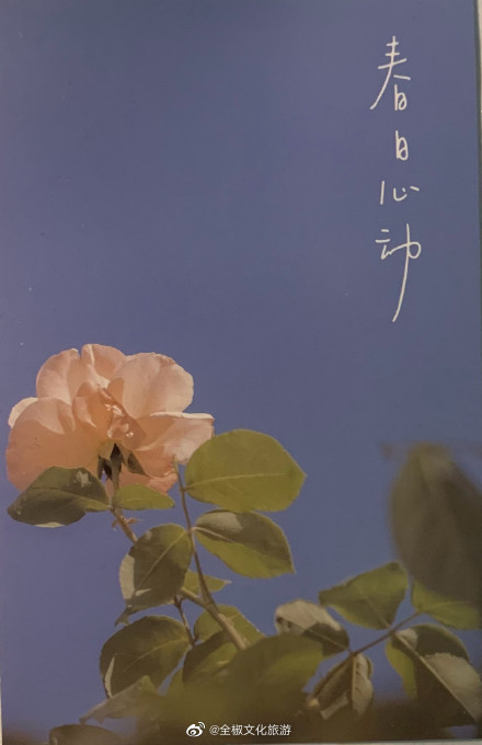 婦女節快樂圖片配圖 38婦女節快樂圖片大全 婦女節快樂文案說說