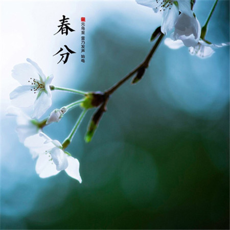 2022春分節氣發朋友圈唯美素材 很好看的春分節日素材合集