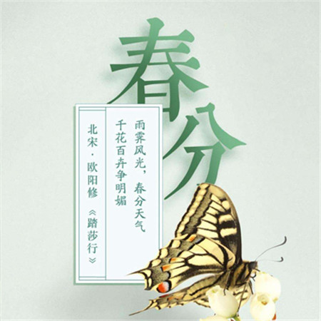 2022春分節氣發朋友圈唯美素材 很好看的春分節日素材合集